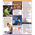Practicing Safety At Home And Away Laminated Poster